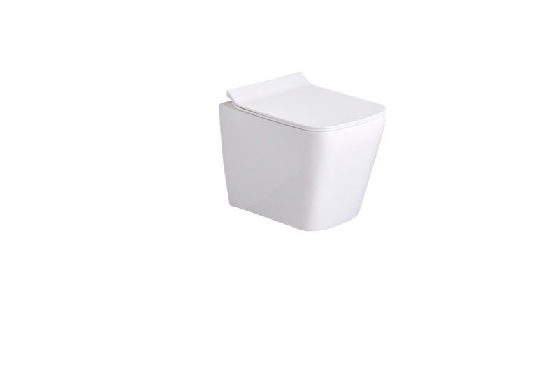 QUADRATO | BQUA 1002 Blind Installation | Rimless PP Seat Cover (QQ)